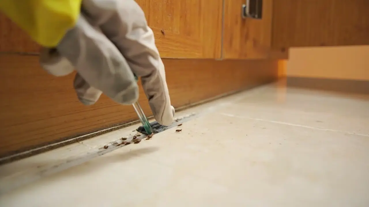 Une approche technique pour une éradication complète