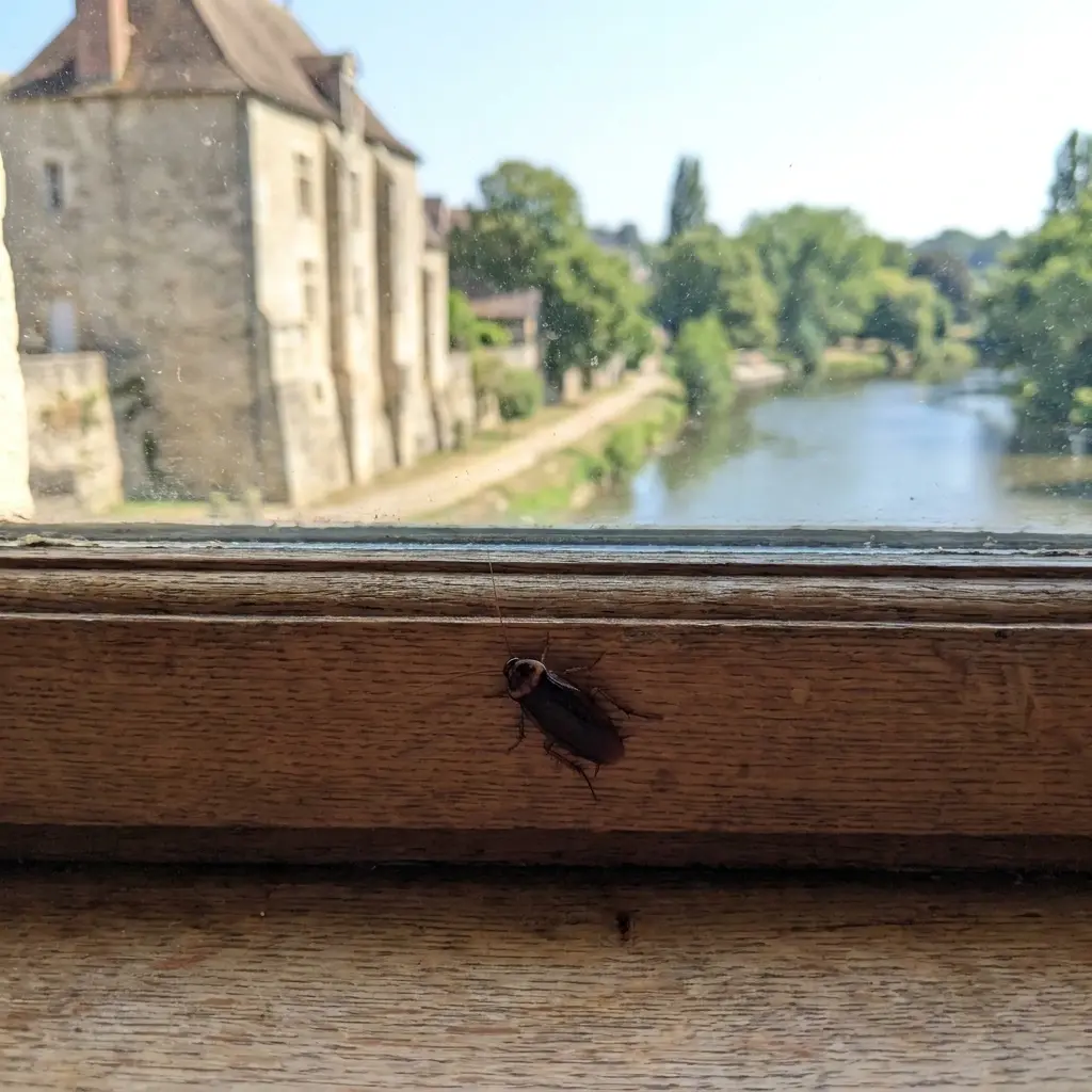 Besoin d'une intervention rapide à L'Isle-Adam ?