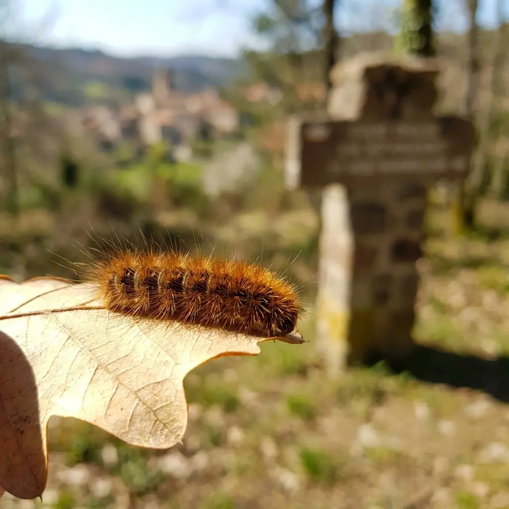Une solution efficace pour retrouver la sérénité dans votre jardin