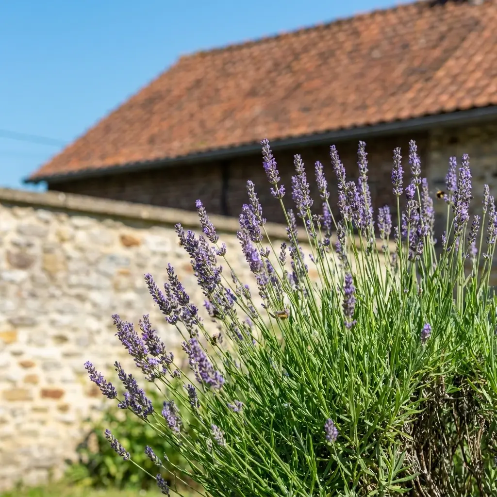 Comment se déroule l'intervention à Haspres ?