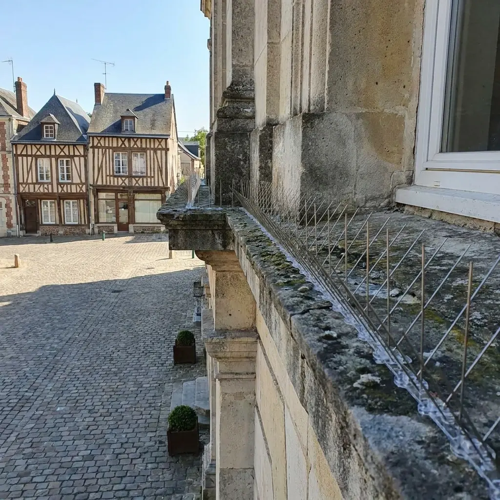 Pourquoi nous choisir pour votre dépigeonnage à La Fère ?