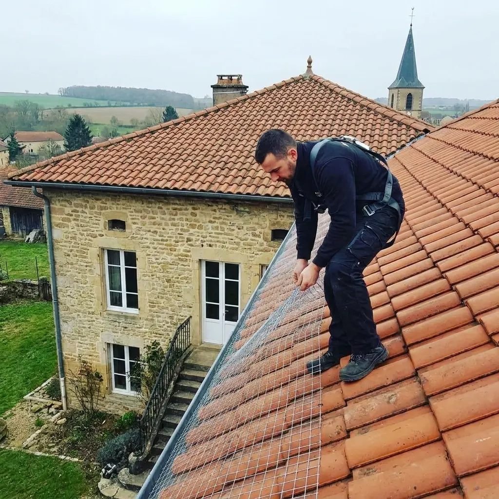Une protection efficace pour vos bâtiments à Auboué