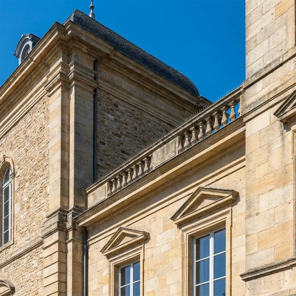 Comment prévenir le retour des pigeons à Château-Salins