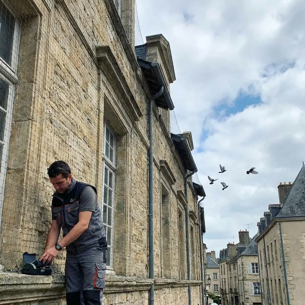 Un environnement sain et propre pour vos locaux