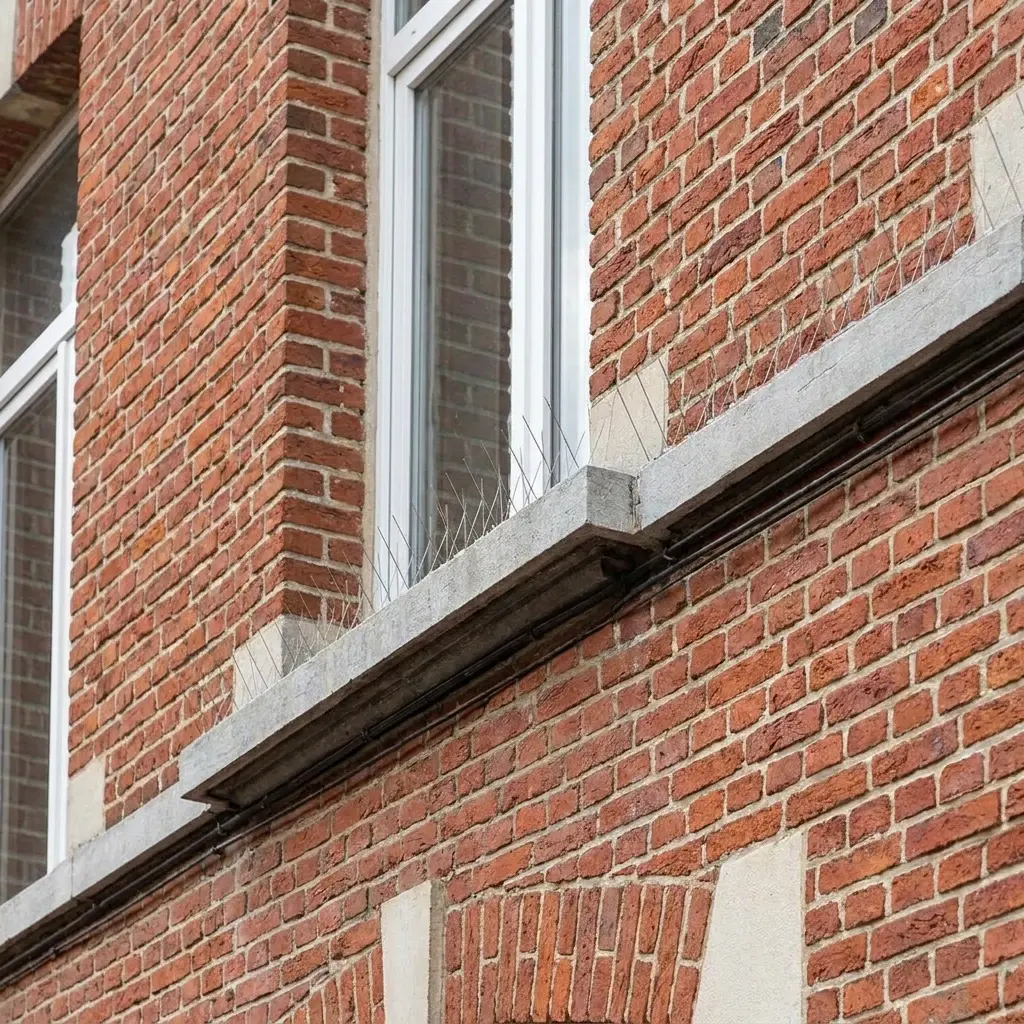 Une tranquillité retrouvée pour vos extérieurs