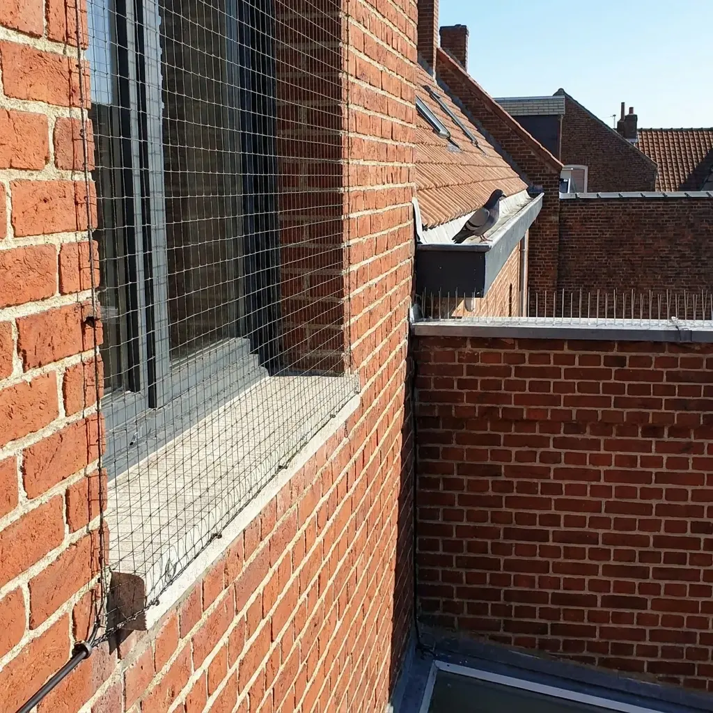 Dépigeonnage Guesnain (59287)