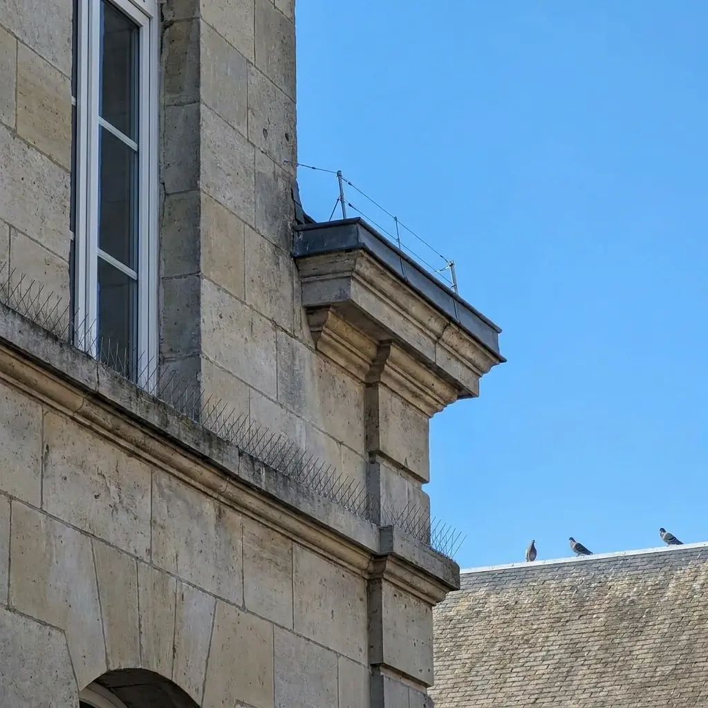 Une solution professionnelle pour retrouver un extérieur propre