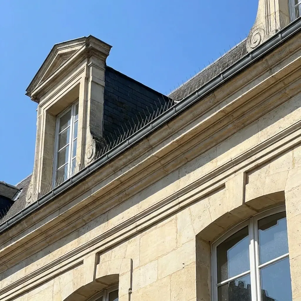 Une solution efficace pour retrouver un environnement sain
