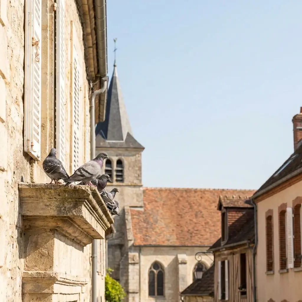 Un traitement professionnel pour vos façades et toitures
