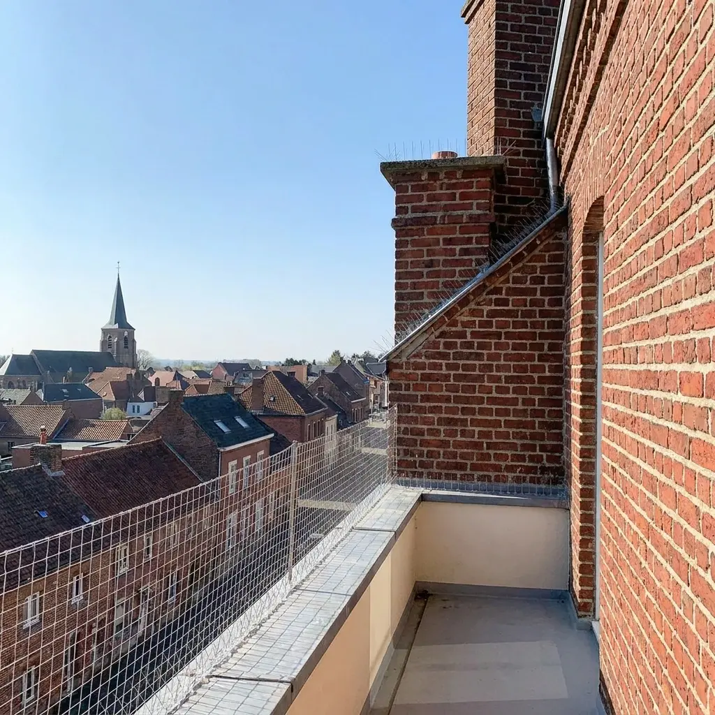 Pourquoi nous choisir pour votre dépigeonnage à Angres