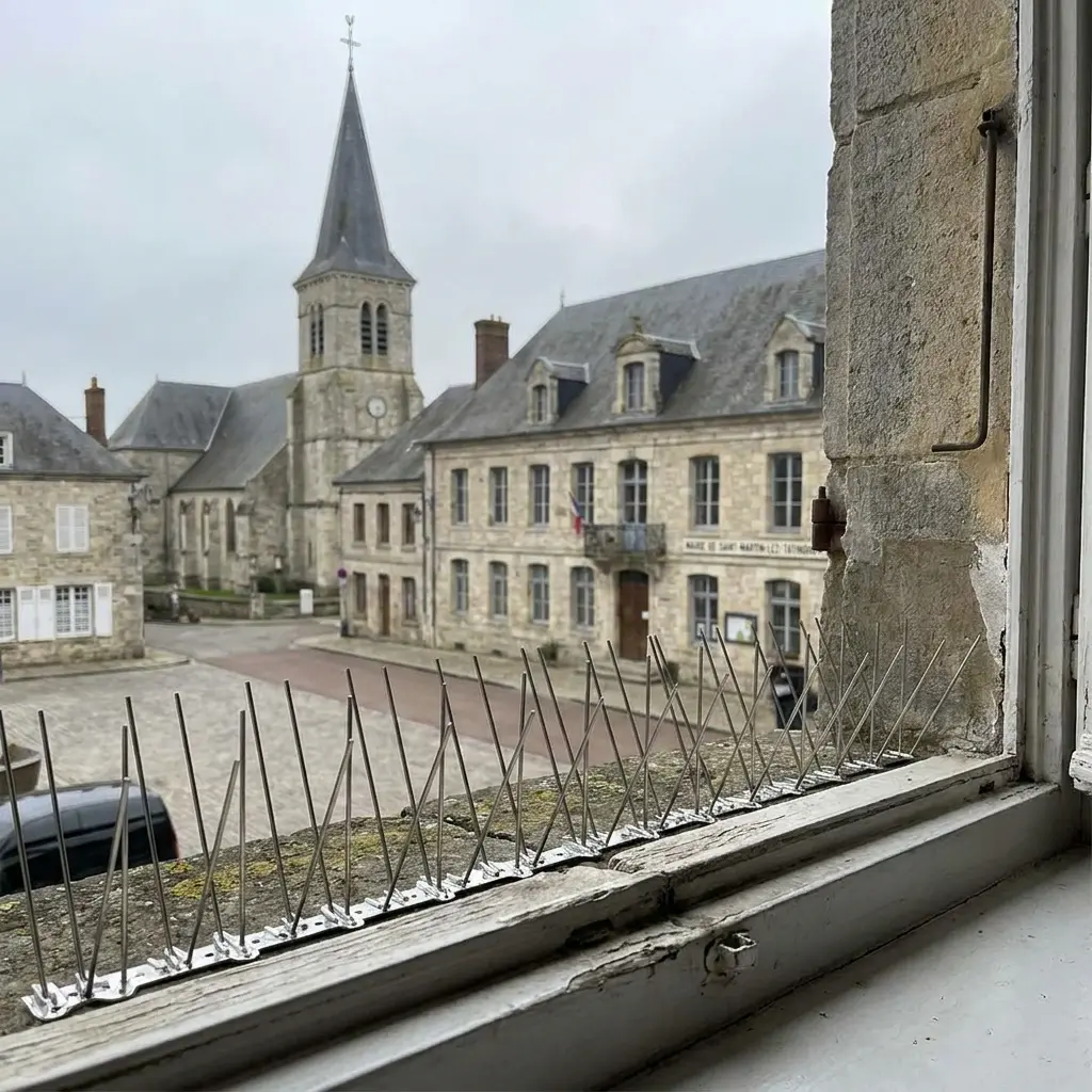 Pourquoi nous choisir à Saint-Martin-lez-Tatinghem ?