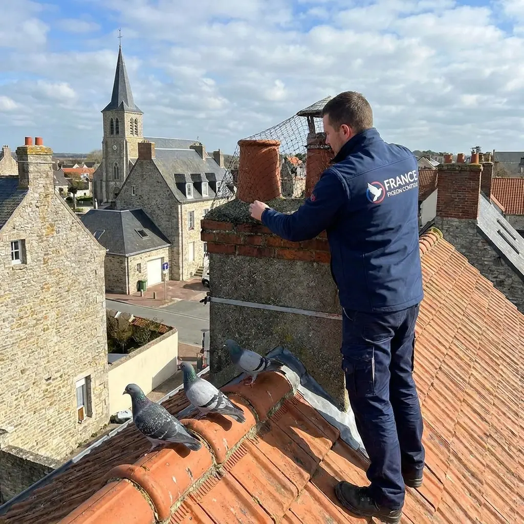Pourquoi nous choisir pour votre dépigeonnage à Cucq
