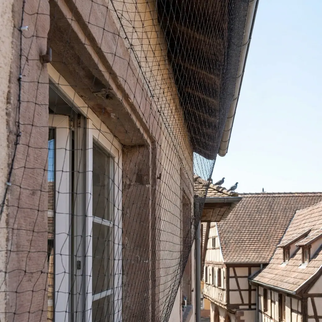 Une solution sereine pour vos extérieurs à Dorlisheim