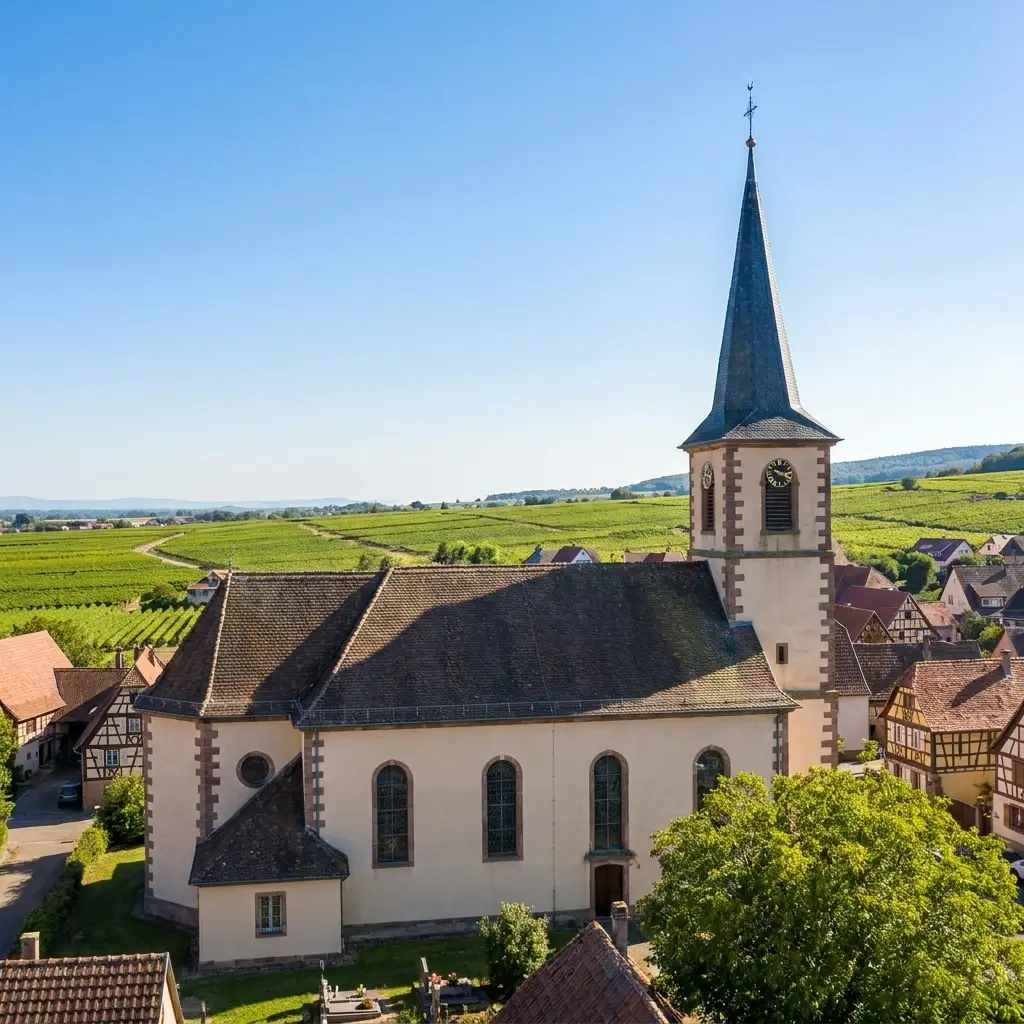 Besoin d'un dépigeonnage rapide à Wingersheim les Quatre Bans ?