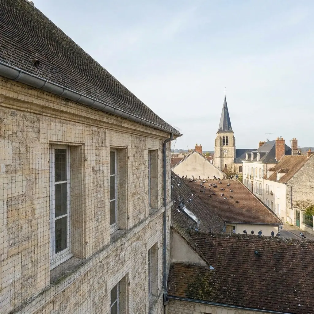 Comment se déroule le dépigeonnage à Vaux-le-Pénil ?