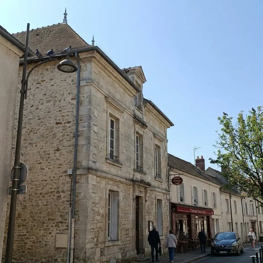 Besoin d'un dépigeonnage rapide à Saint-Soupplets ?