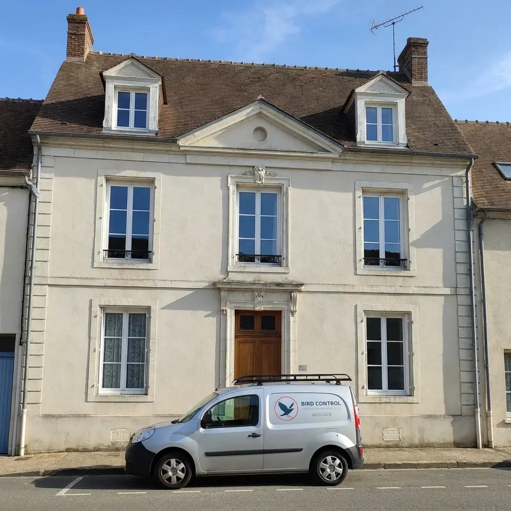 Besoin d'un dépigeonnage à Brou-sur-Chantereine ?
