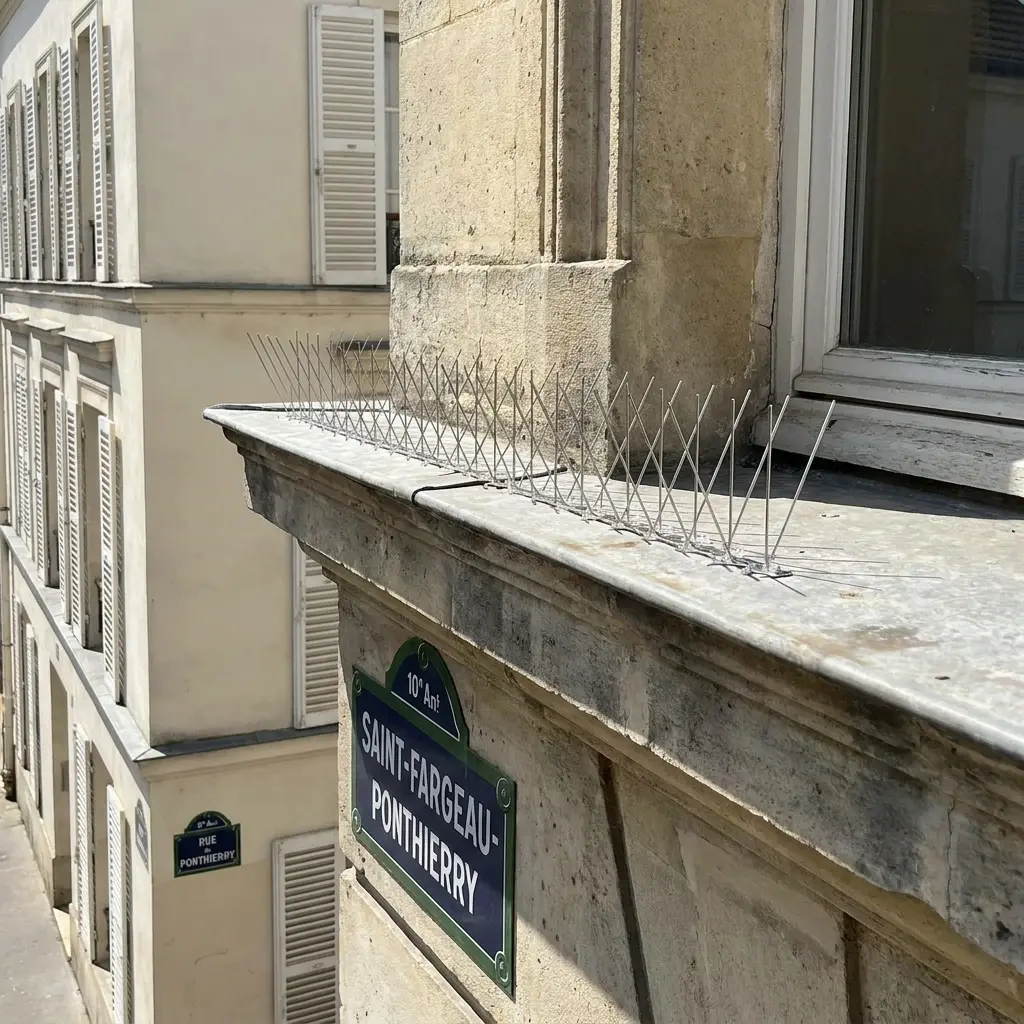 Comment se déroule l'intervention à Saint-Fargeau-Ponthierry ?