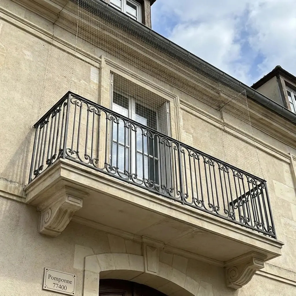 Pourquoi nous choisir pour votre dépigeonnage à Pomponne