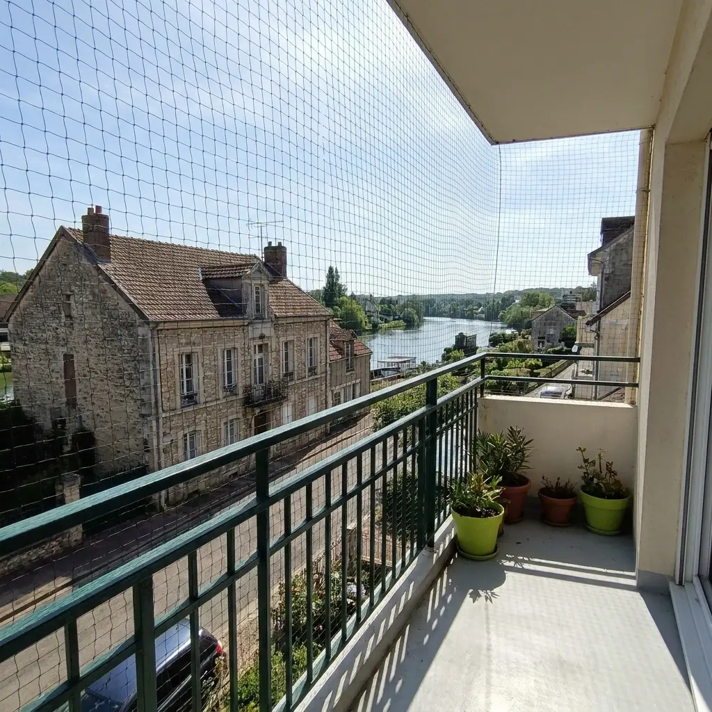 Pourquoi nous choisir pour votre dépigeonnage à Mézy-sur-Seine