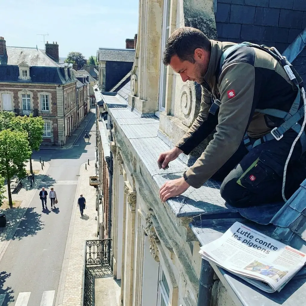 Dépigeonnage Villers-Bretonneux (80800)