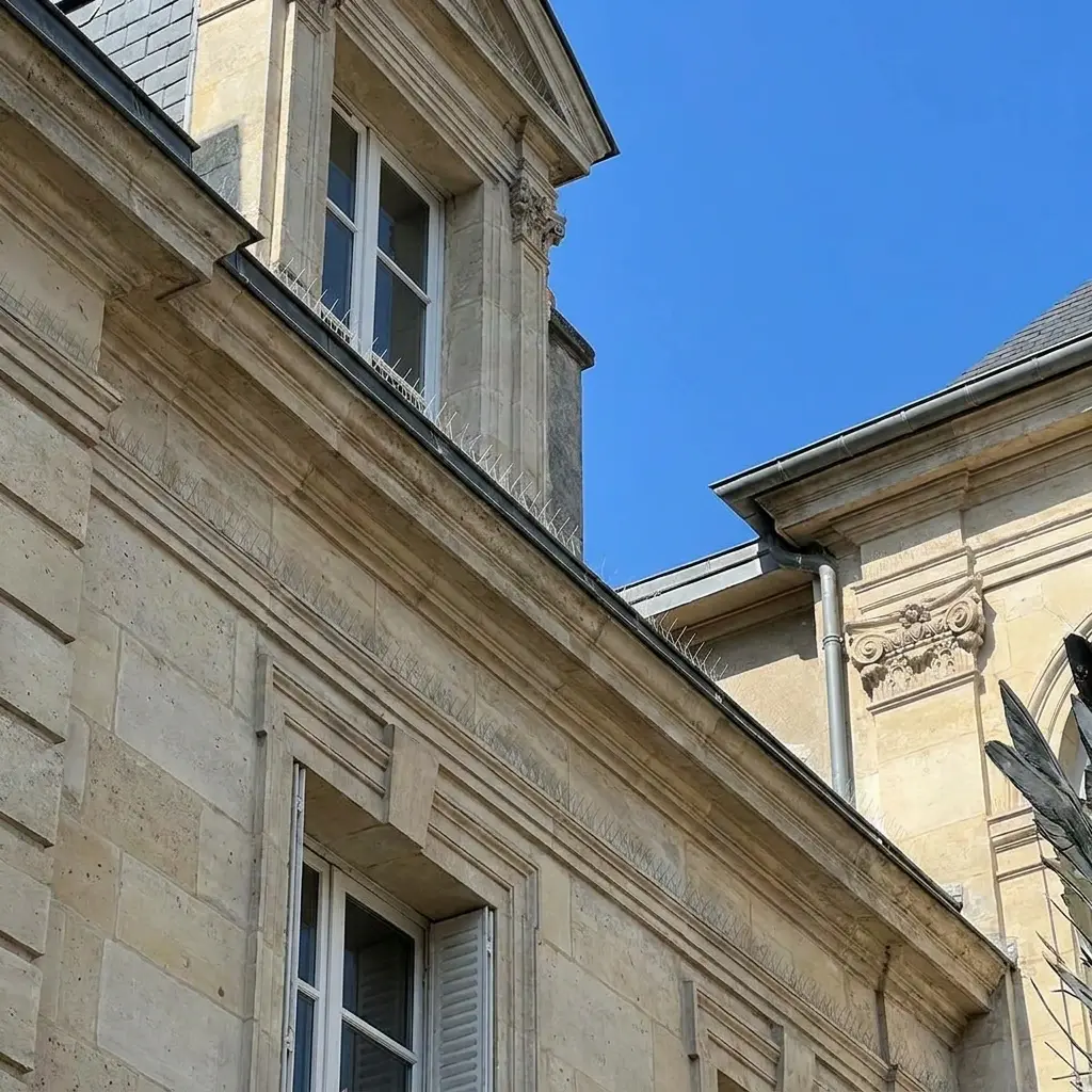 Une tranquillité retrouvée pour vos extérieurs