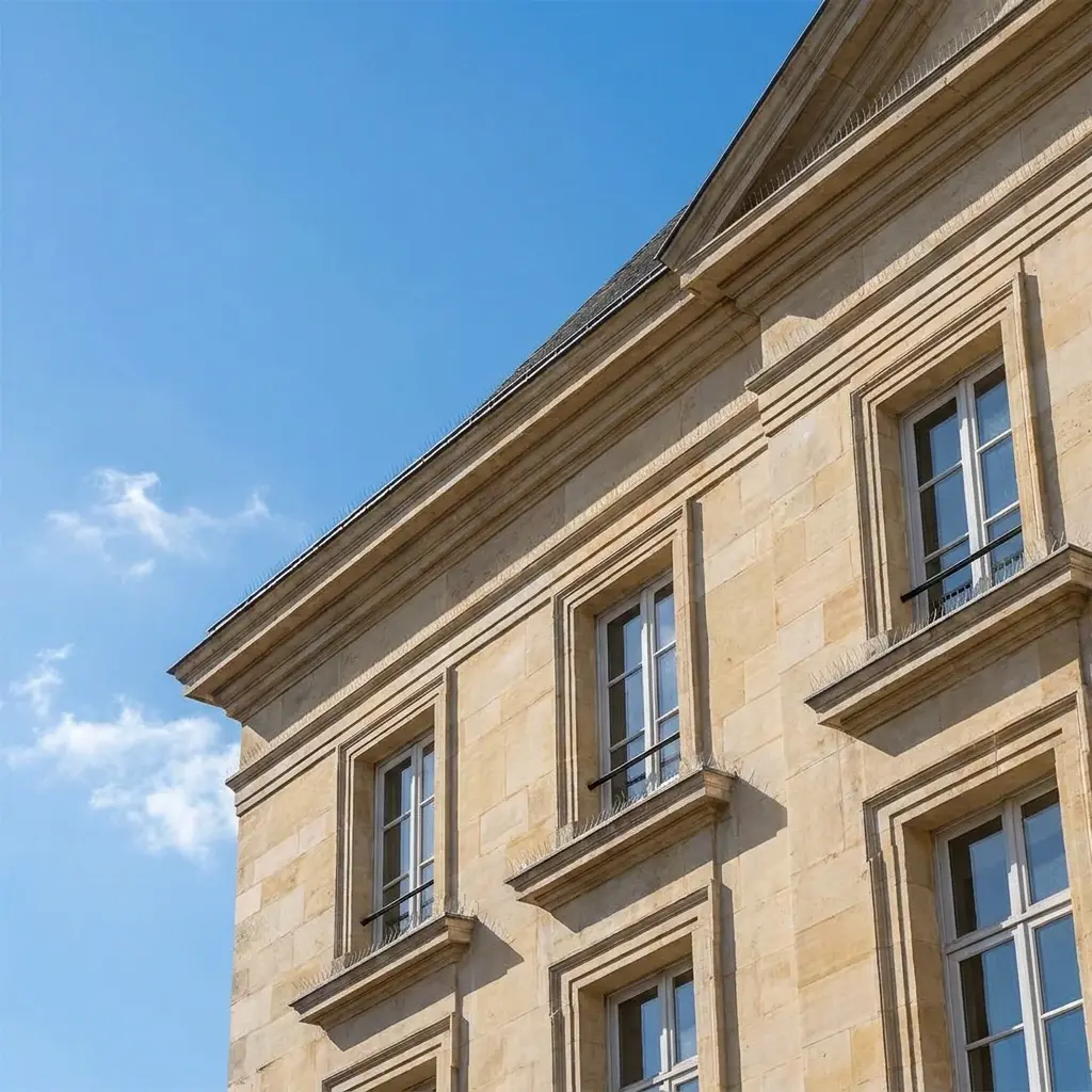 Dépigeonnage Pontoise (95300)