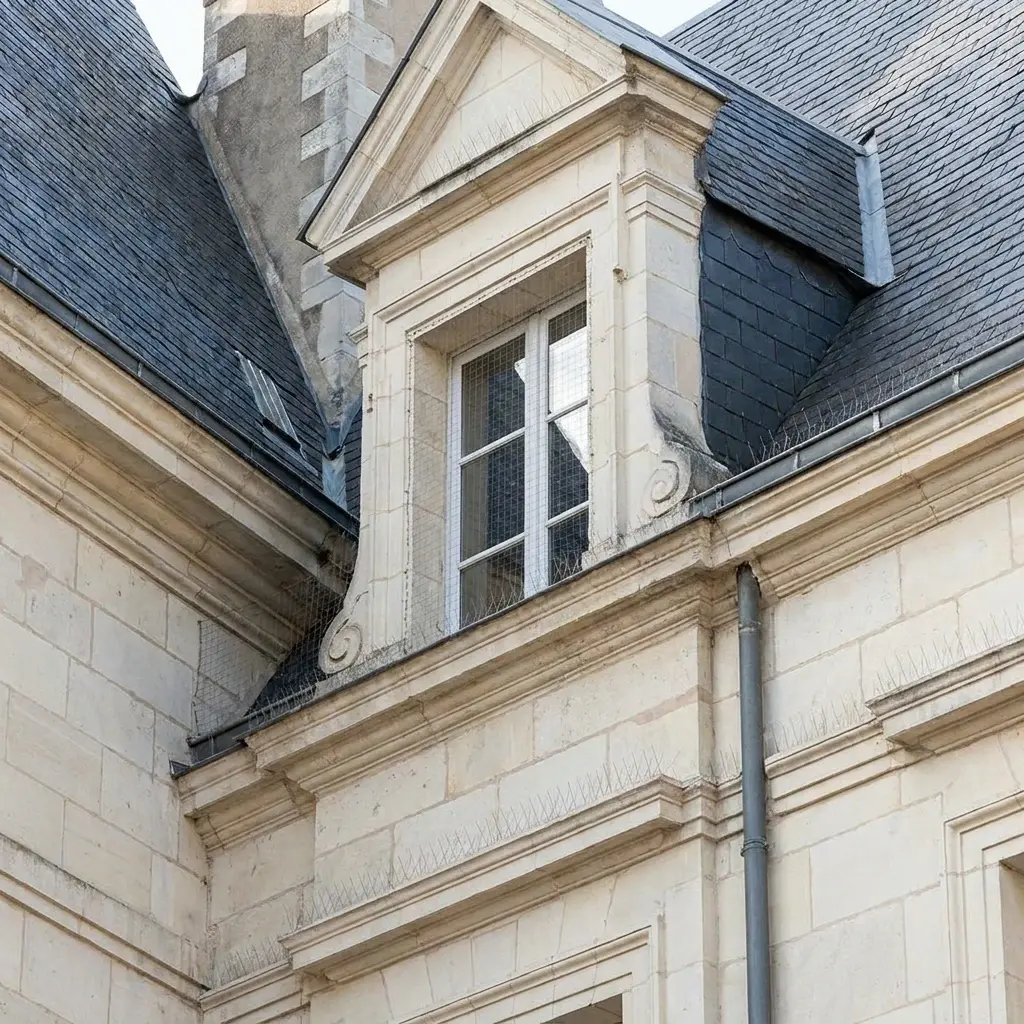Pourquoi choisir notre expertise à Montmagny ?