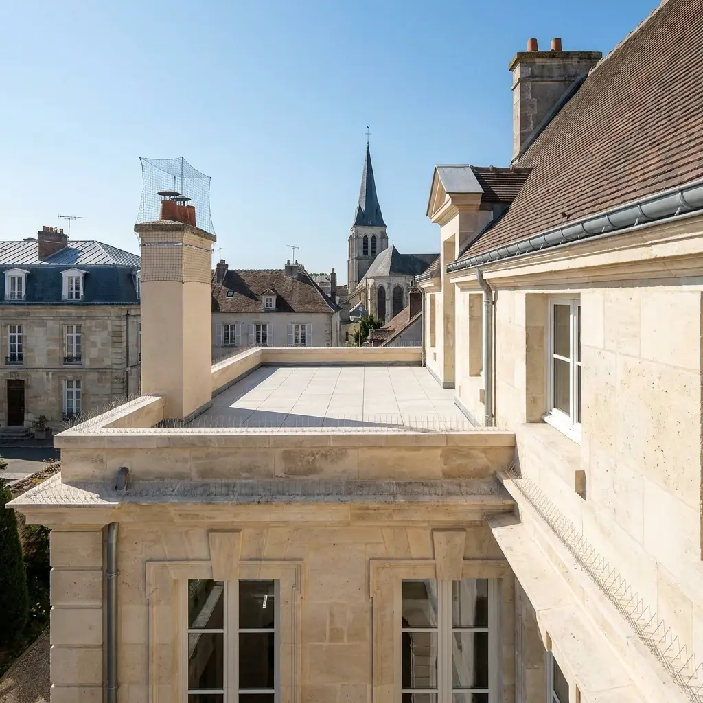 Pourquoi nous choisir pour votre dépigeonnage à Villiers-le-Bel