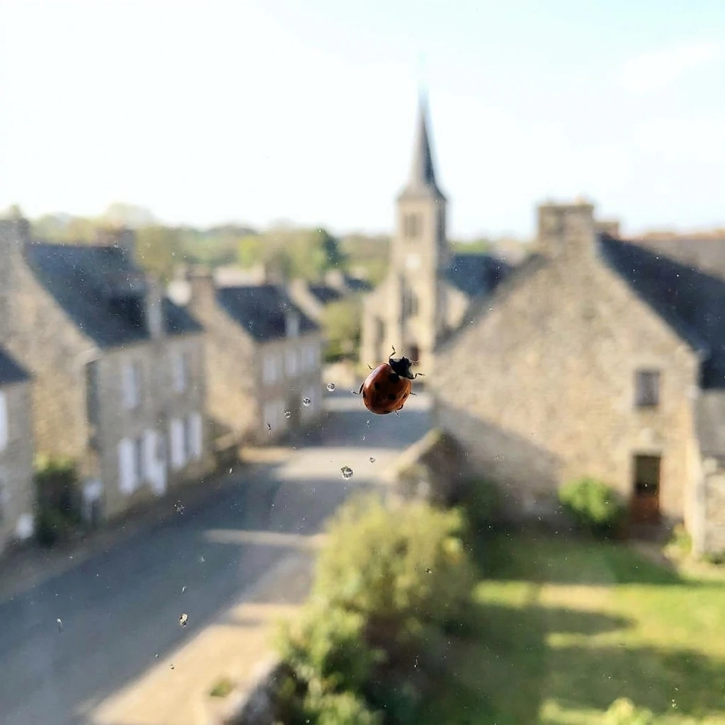Comment se déroule l'intervention à La Chapelle-Saint-Luc ?