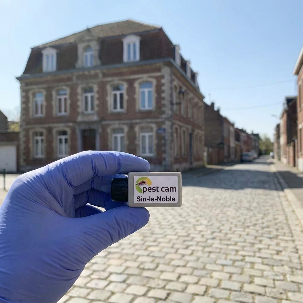 Une sérénité retrouvée grâce à un traitement professionnel