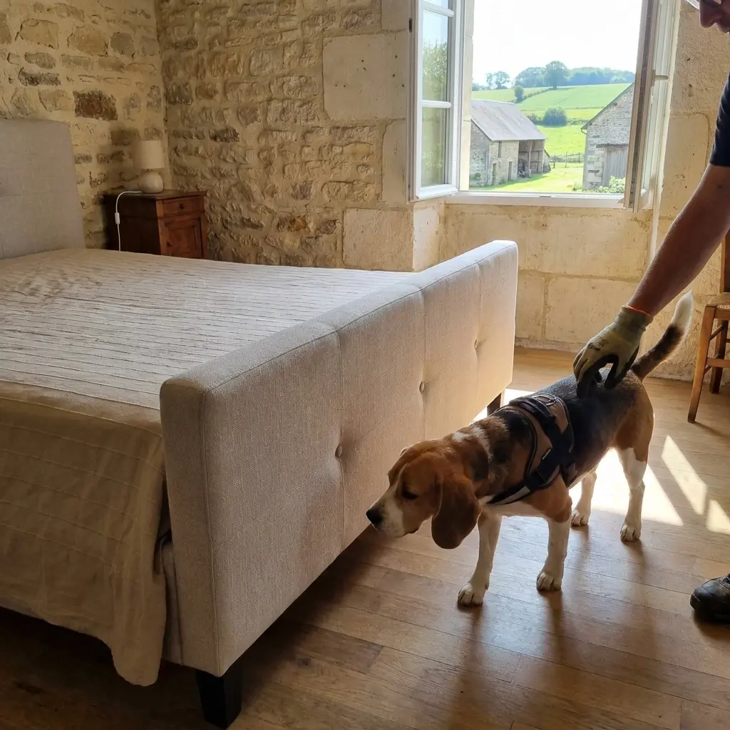 Besoin d’une détection canine rapide à Le Nouvion-en-Thiérache ?