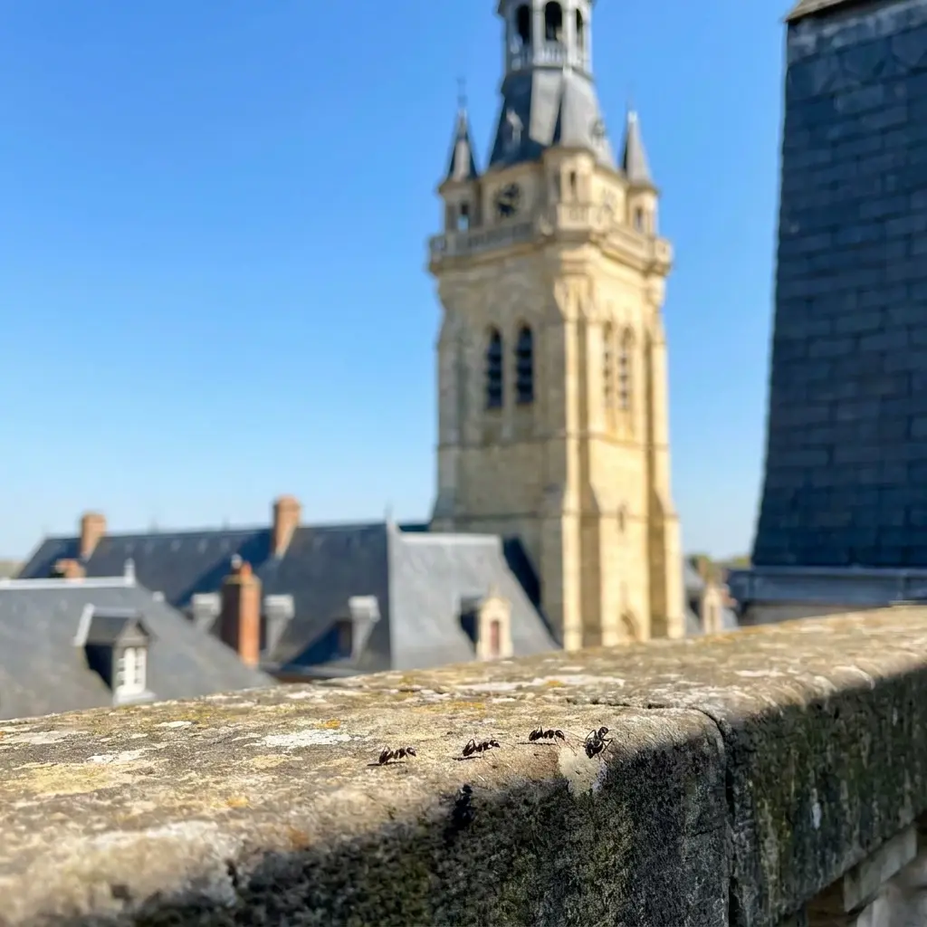 Besoin d'une intervention rapide à Cambrai ?