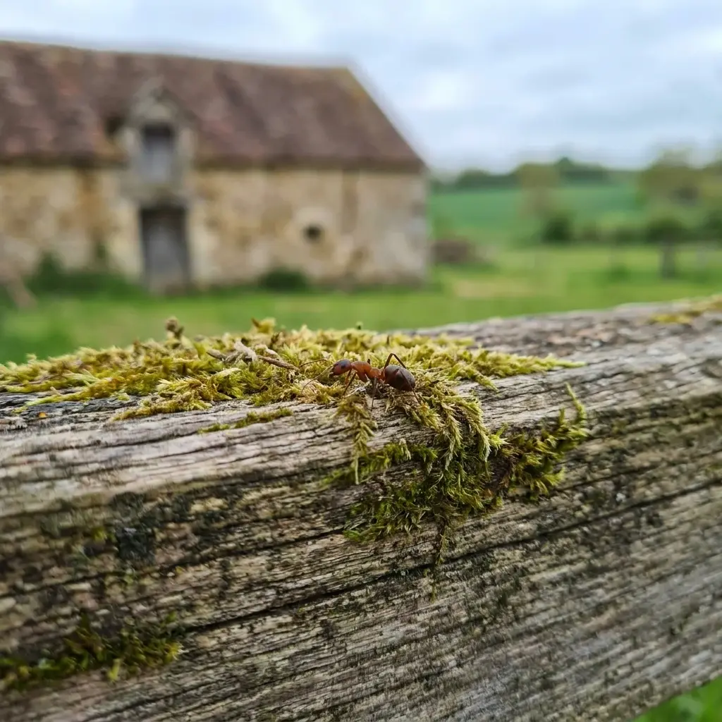 Besoin d'une intervention rapide à Estaires ?
