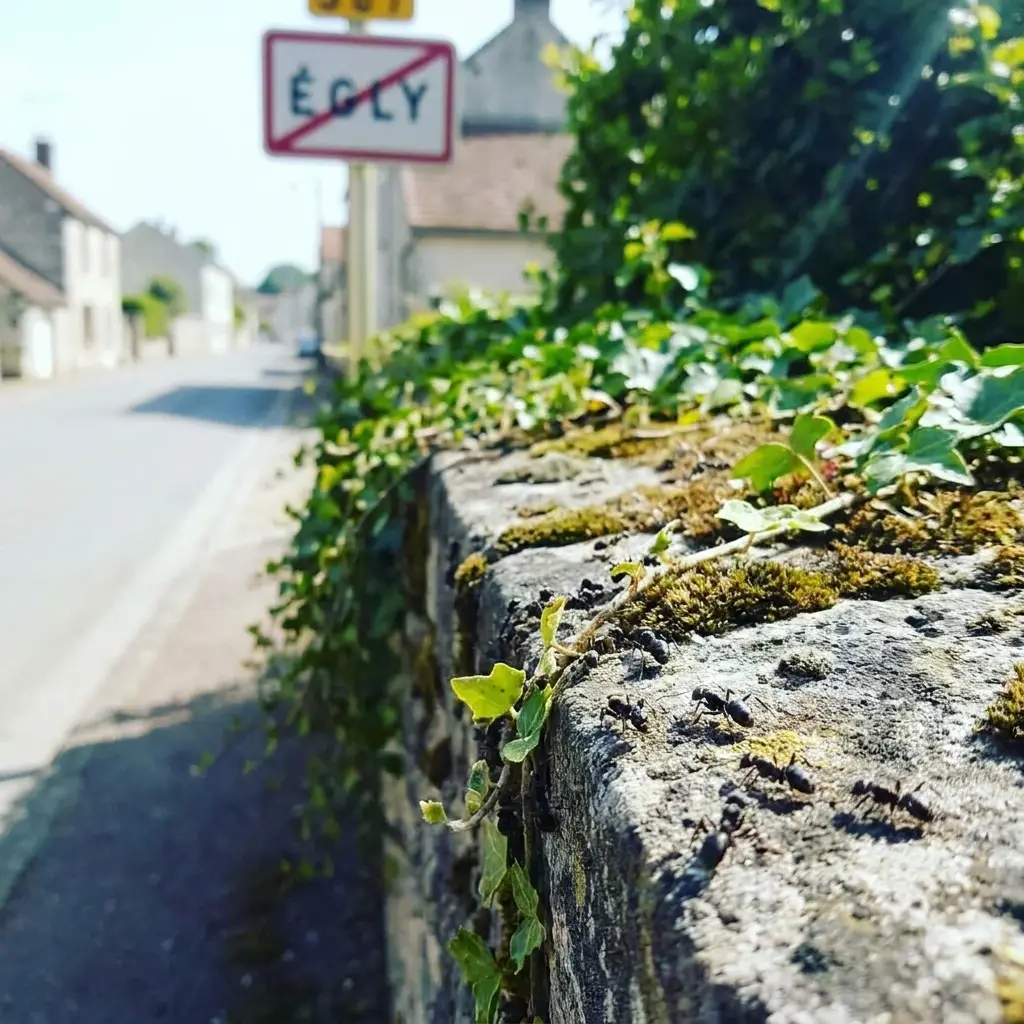 Besoin d'une intervention rapide à Égly ?