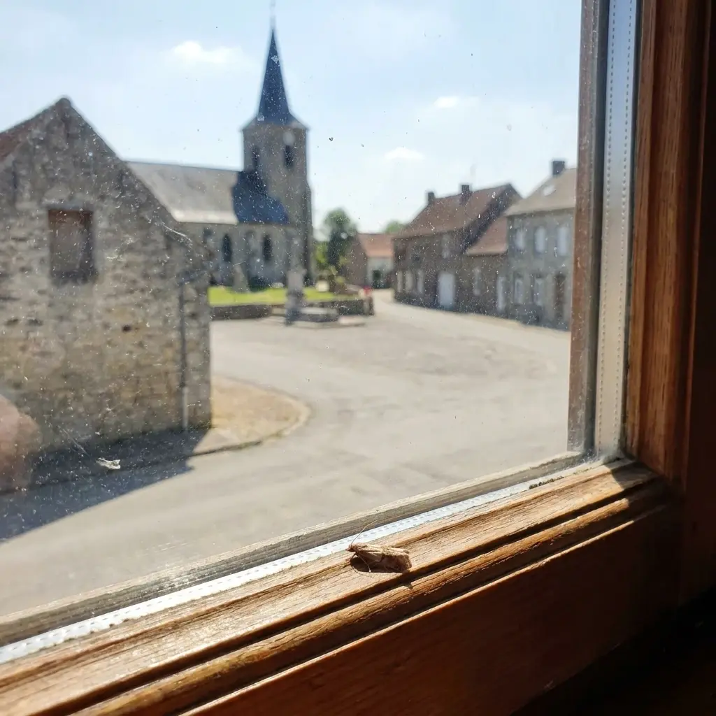 Comment prévenir le retour des mites dans votre maison
