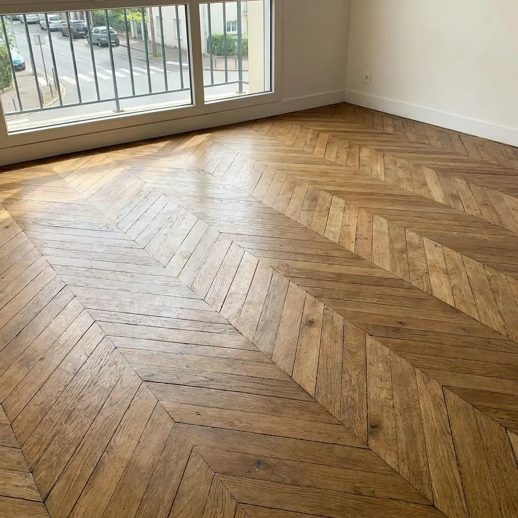 Situations courantes : trous dans le bois, sciure fine et structures fragilisées