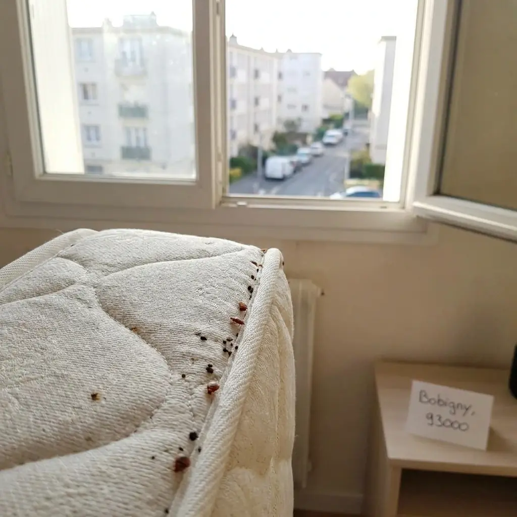 Comment se déroule l'intervention dans la Seine-Saint-Denis ?