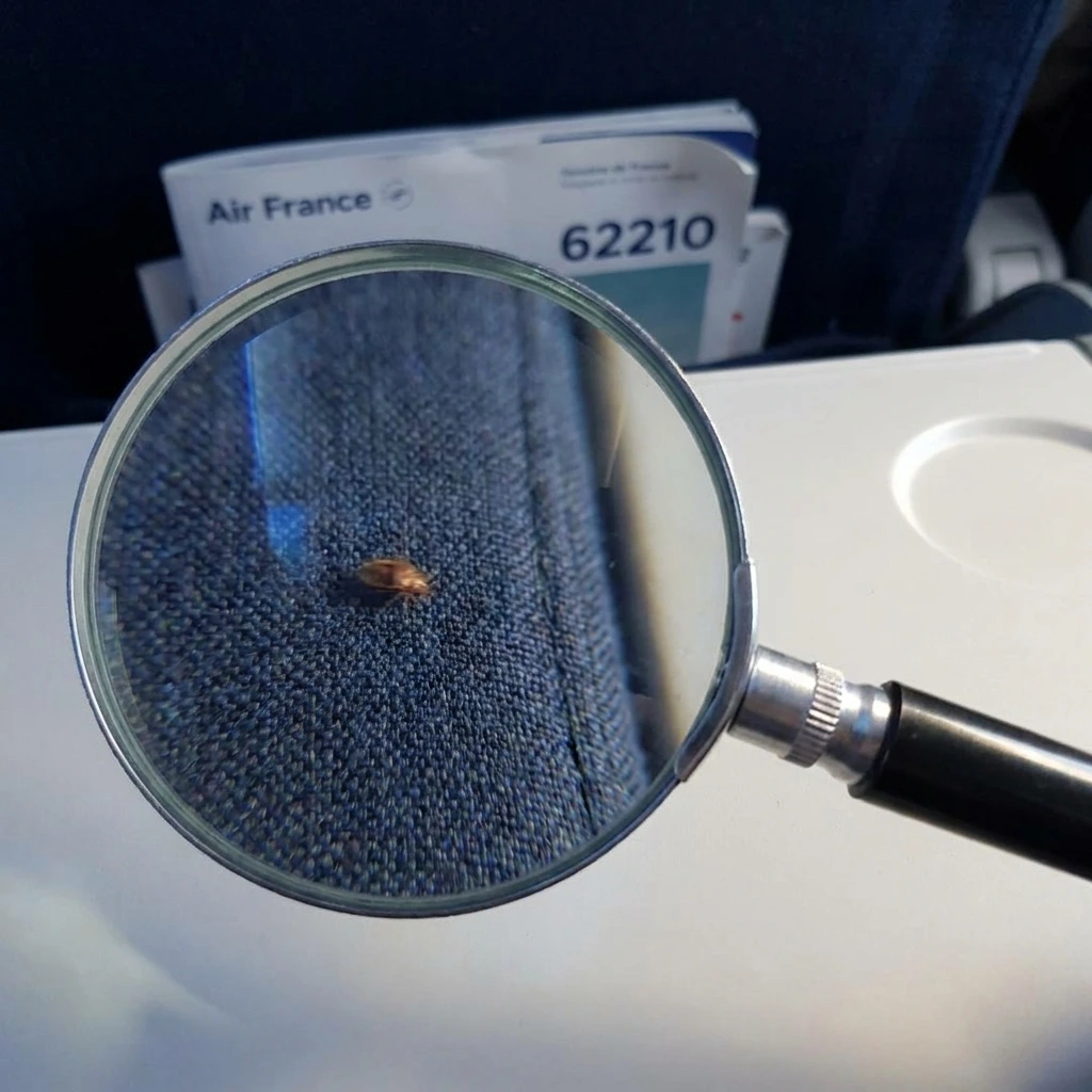 Comment se déroule l'intervention à Avion ?