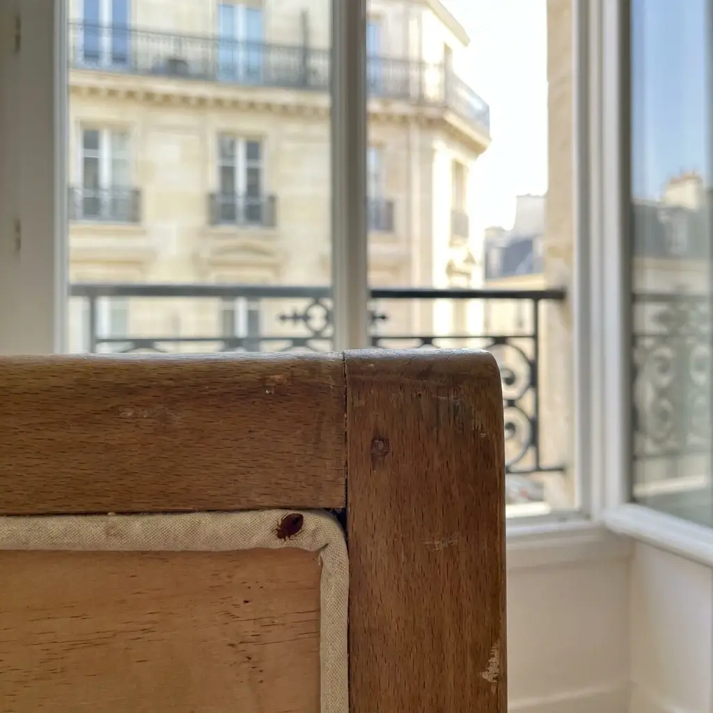 Un traitement rigoureux pour éradiquer les punaises de lit