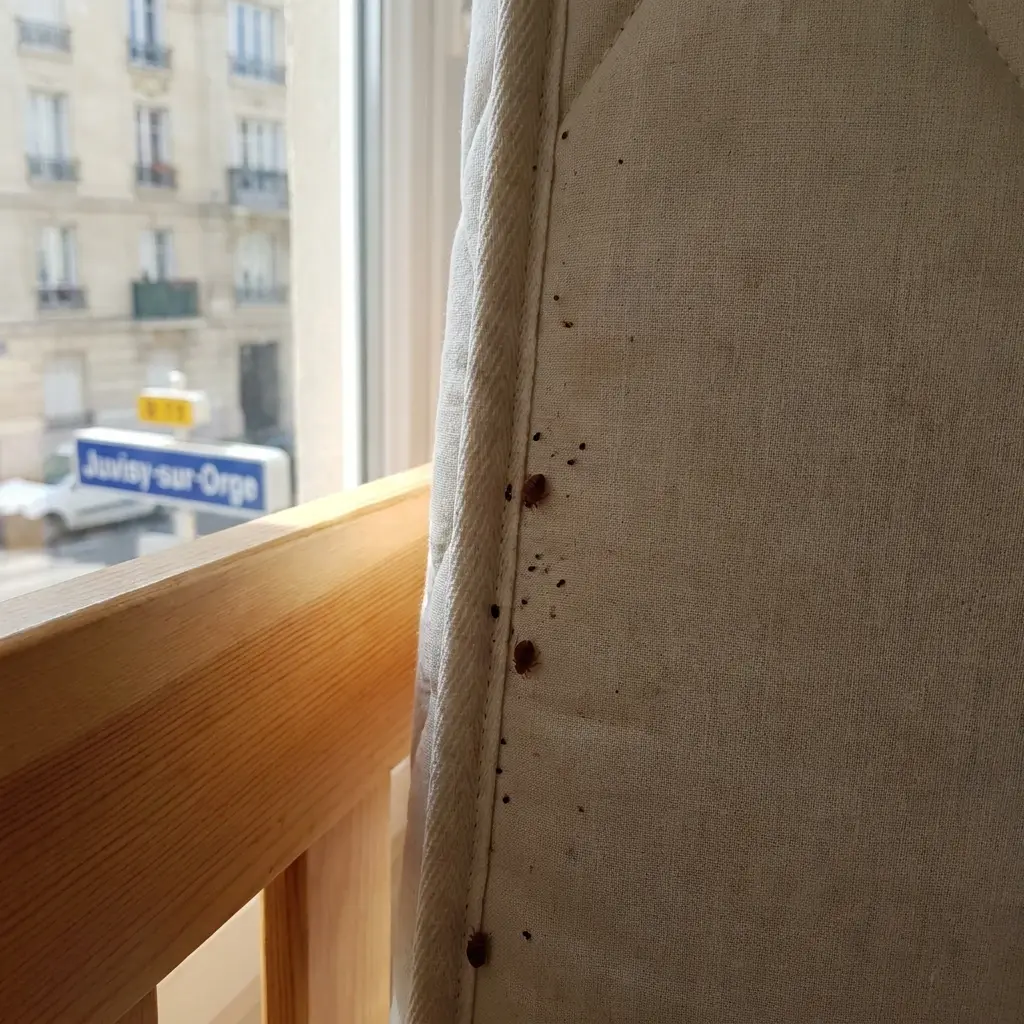 Comment se déroule l'intervention à Juvisy-sur-Orge ?