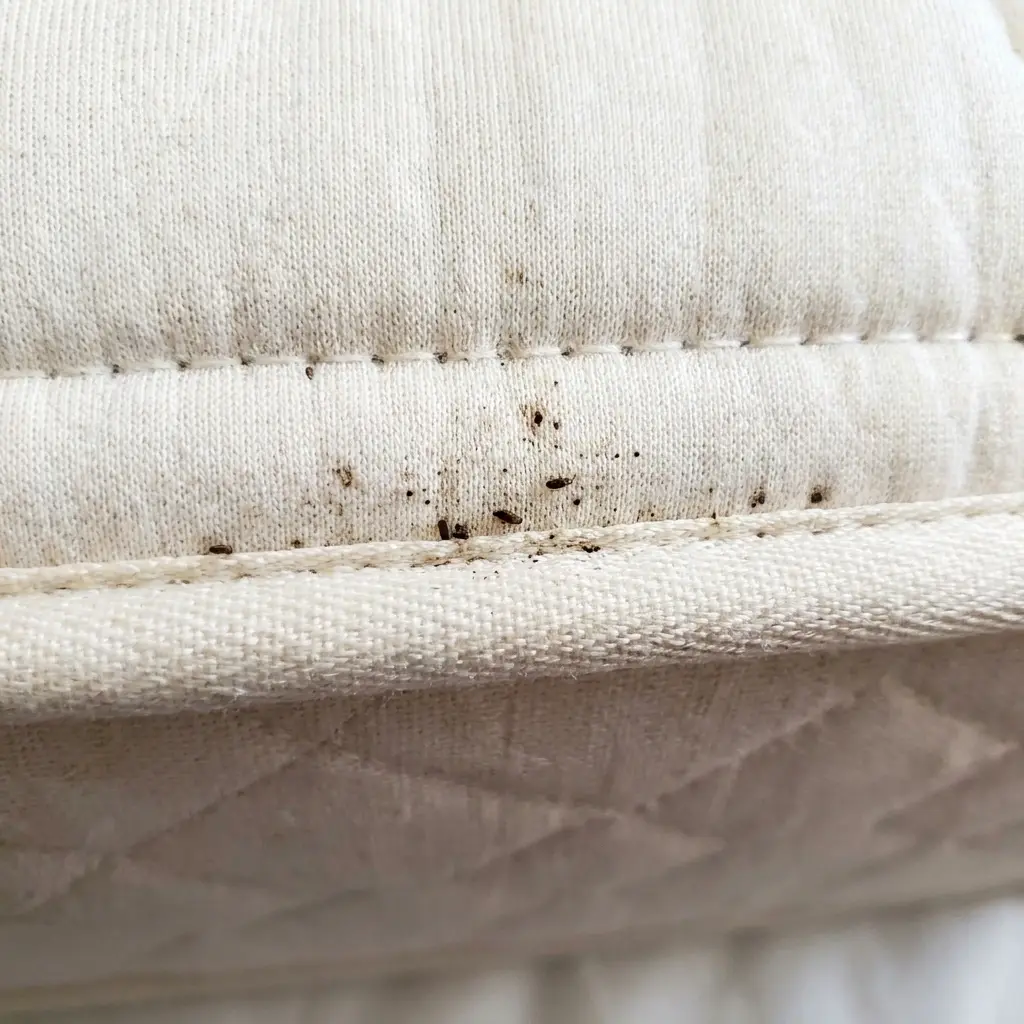 Une solution durable pour retrouver votre tranquillité