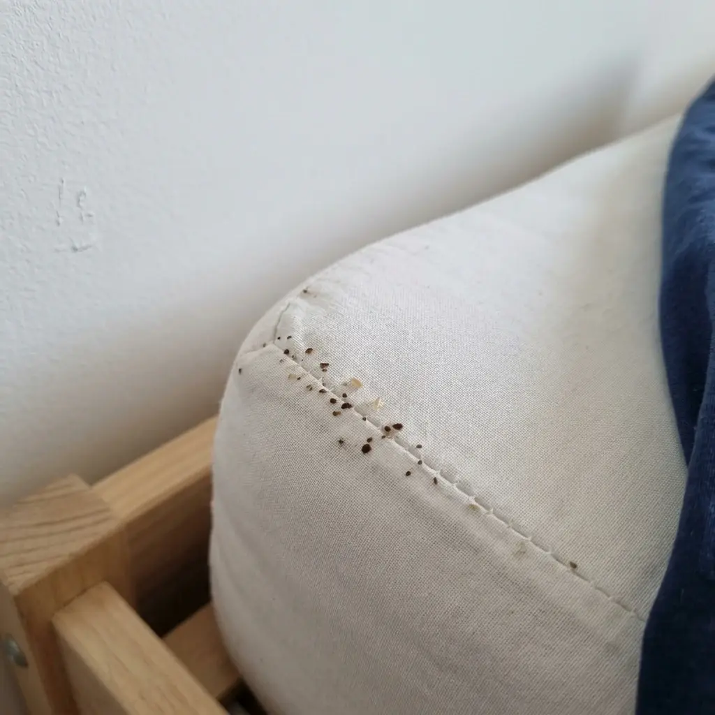 Retrouvez enfin des nuits paisibles et sereines chez vous