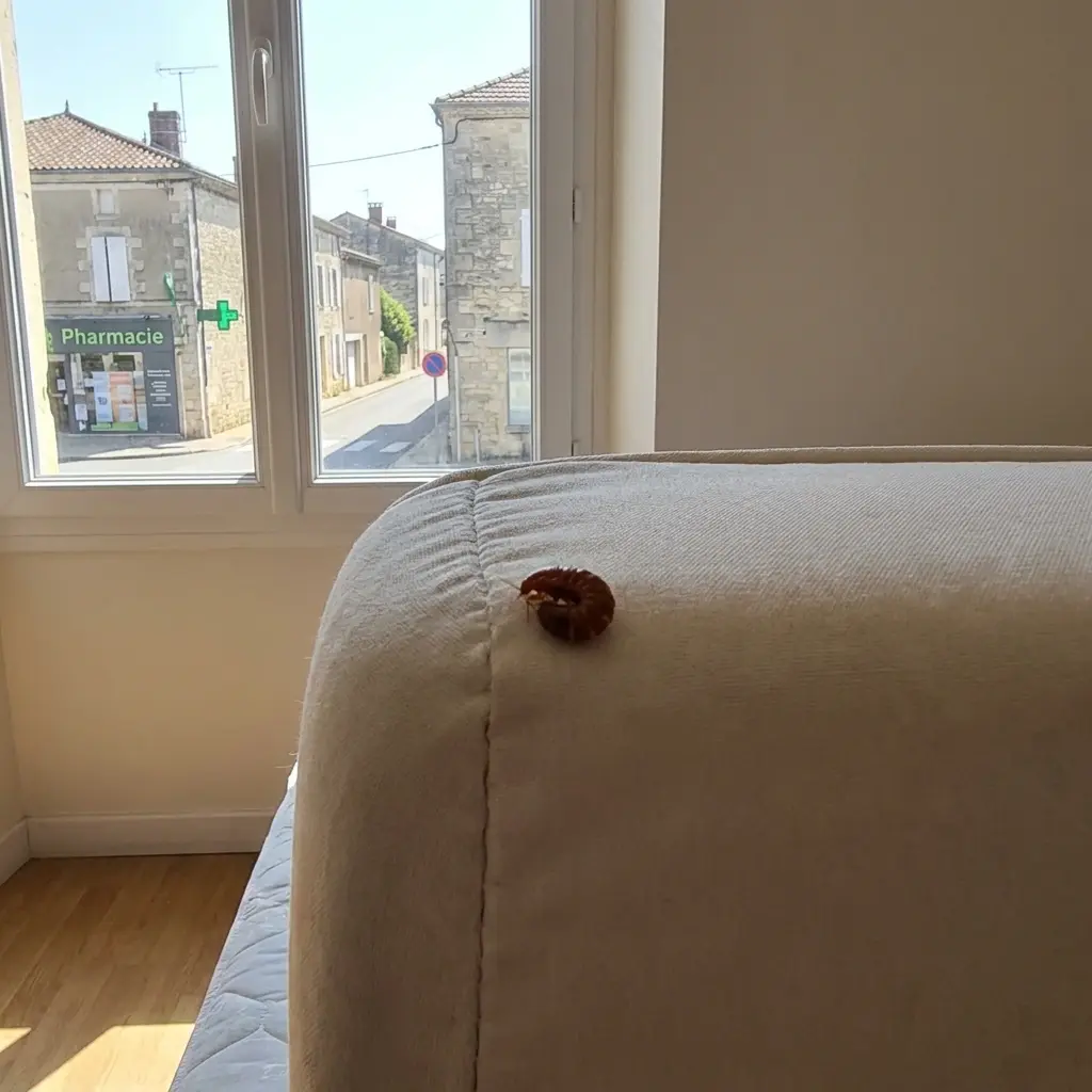 Punaises de lit Le Thillay (95500)