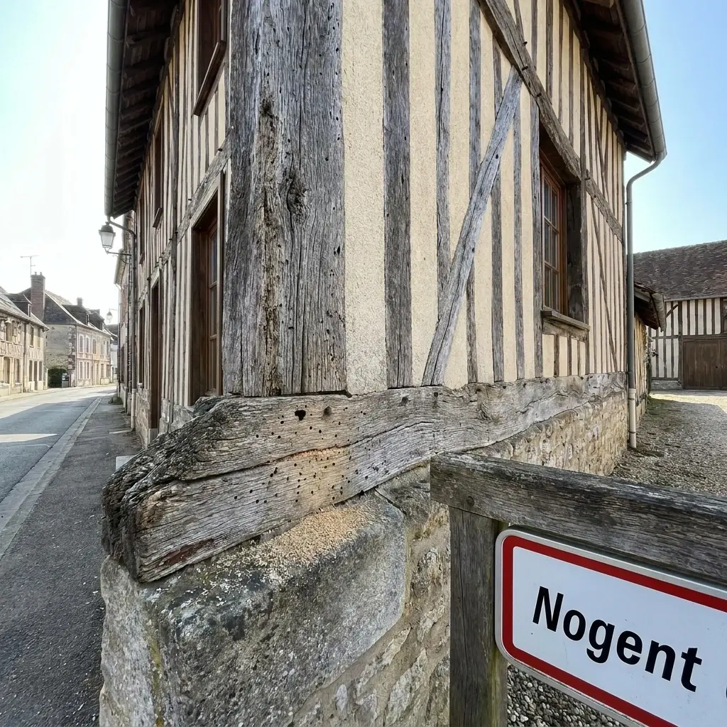 Pourquoi nous choisir pour vos termites à Nogent ?