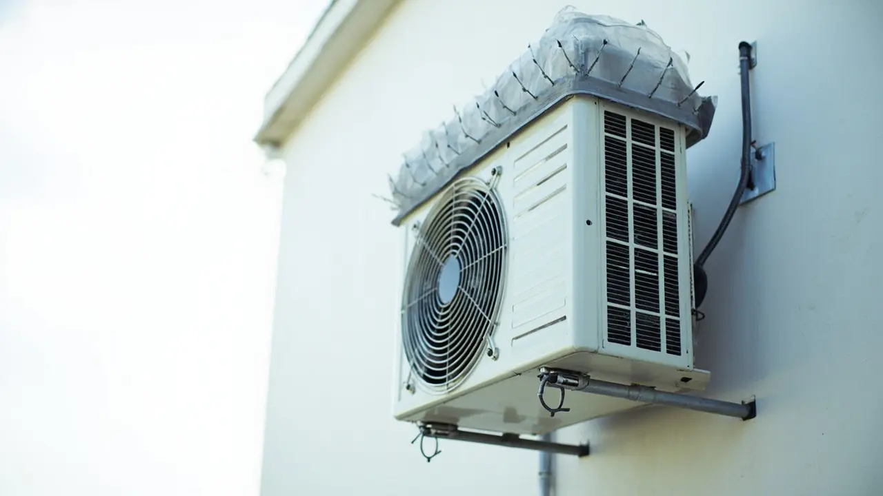 Dépigeonnage : protéger vos climatiseurs des déjections